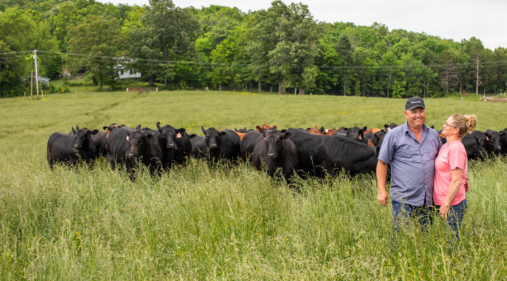 Porter Road farmers standing in a lush pasture with cattle, wearing Porter Road caps