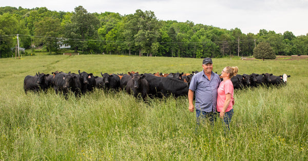 Farmer couple standing in a green pasture with cattle