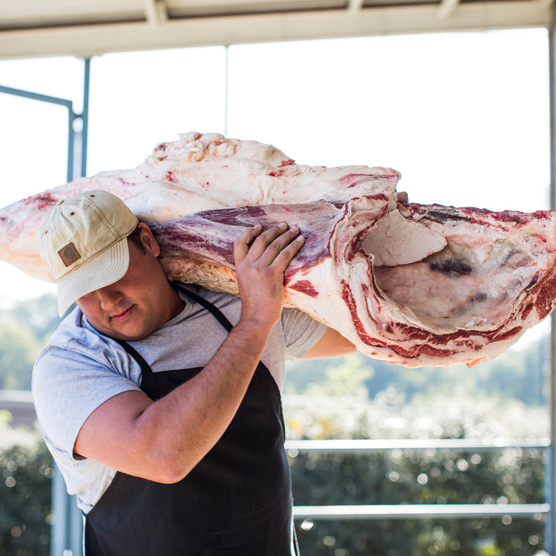 Butcher carrying a raw beef primal section on his shoulder