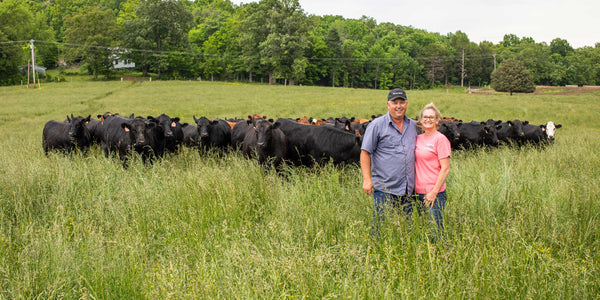 Farmers with cattle on pasture